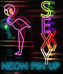 Neon Pin-Up Props