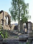 Archaic Ruins