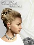 Classic Updo Hairstyle G3F